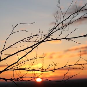 Meet your Posher, Simona